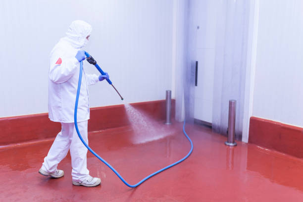 Best Building Exterior Washing  in Robertsde, AL
